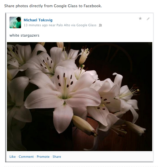Facebook for Google Glass | Facebookヘルプセンター | Facebook 1