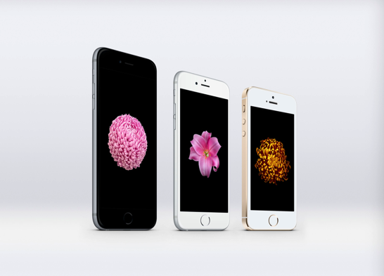 Iphone 6 のラウンドディスプレイにピッタリの優美な花の壁紙 ソフトアンテナ