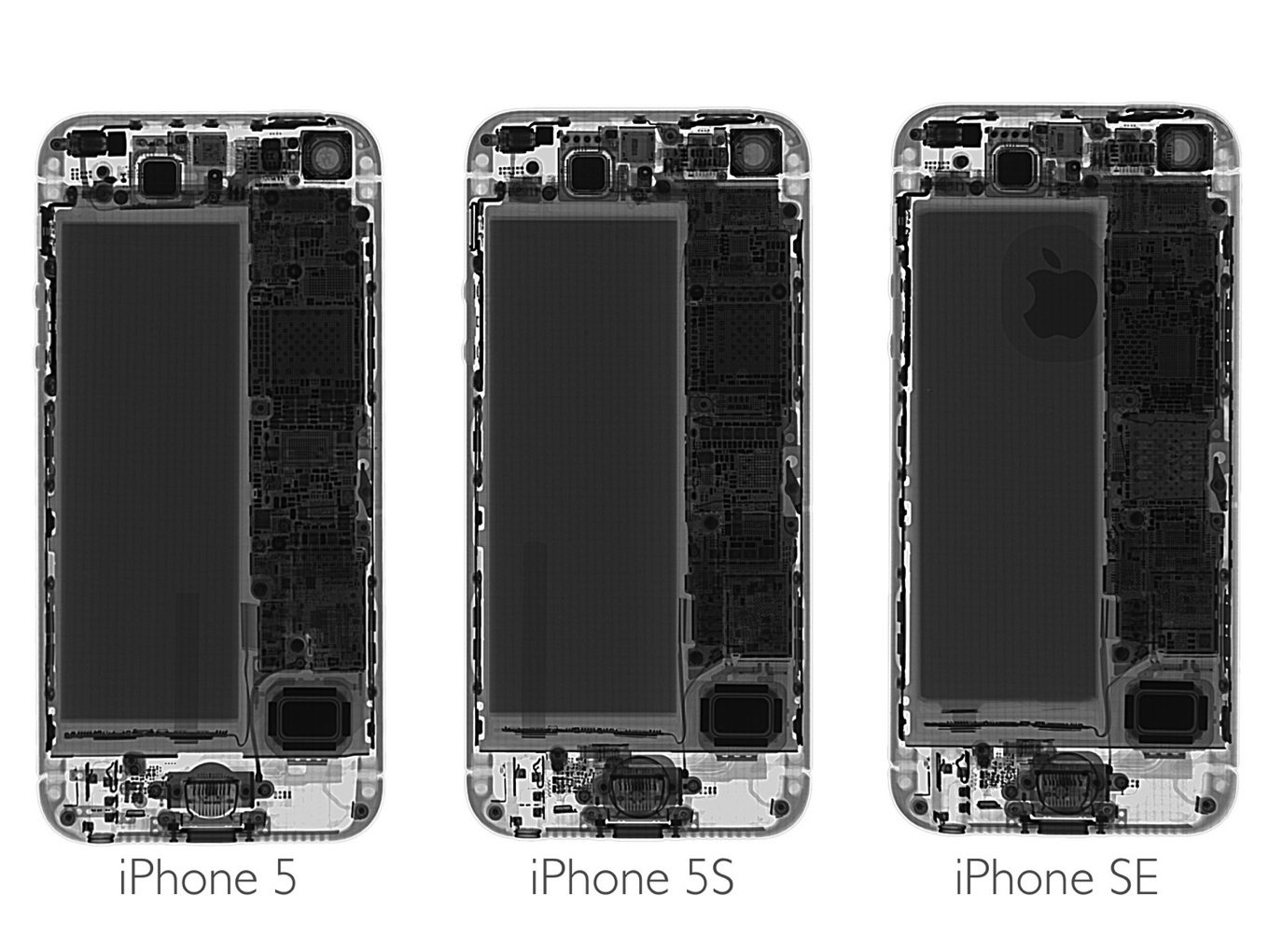 Slagschip Zakenman dek iFixit、「iPhone SE」を分解し、ディスプレイはiPhone 5sと交換可能であることを発見する | ソフトアンテナ