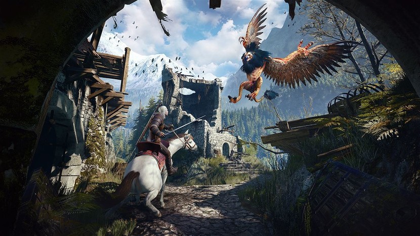 The Witcher 3 Wild Hunt UGS