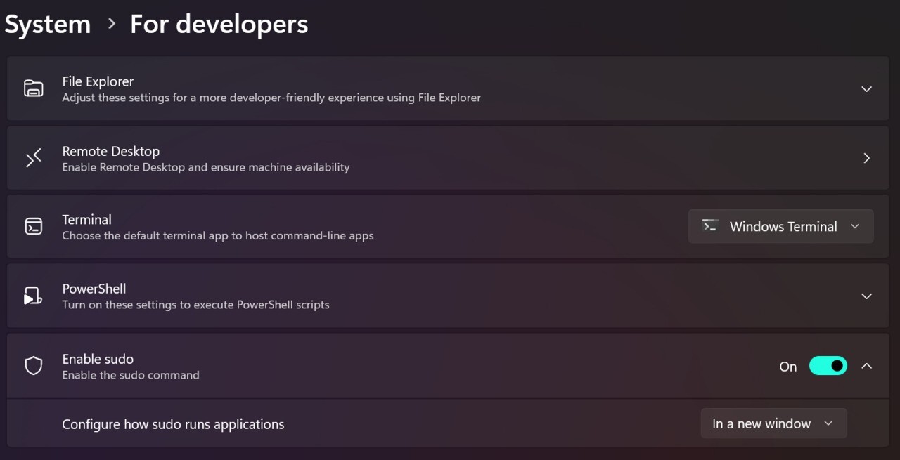 For developers settings1