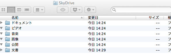 SkyDrive2 1