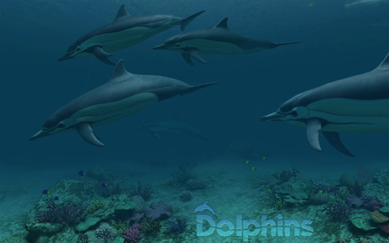 涼しげなイルカに癒やされる夏にピッタリの動く壁紙アプリ Dolphins 3d 期間限定で無料化 ソフトアンテナ