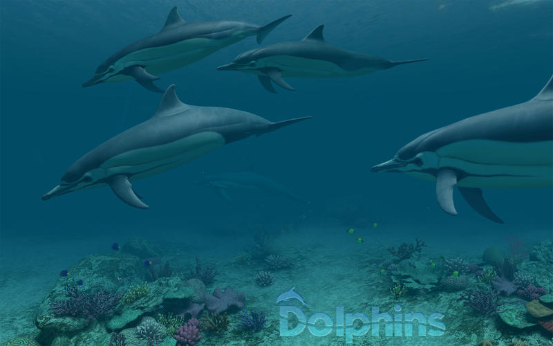 イルカがデスクトップを泳ぎまくるスクリーンセーバー Dolphins 3d が無料化した本日のアプリセールまとめ ソフトアンテナ