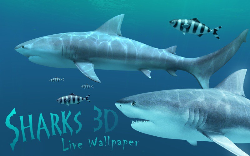 デスクトップをリアルなサメが泳ぎまくる Sharks 3d が無料化した本日のアプリセールまとめ ソフトアンテナブログ